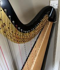Etude 42 Pedal Harp - 2012 - 2nd Hand