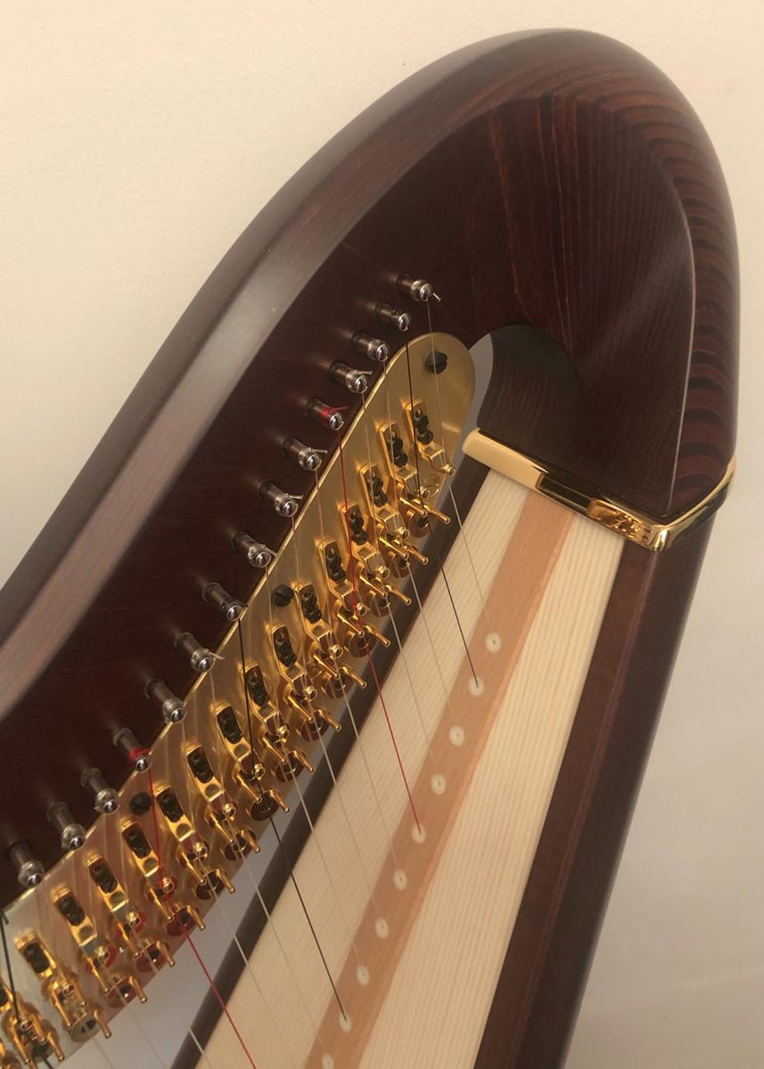Salvi Daphne 47 SE Pedal Harp Walnut in Stock