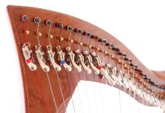 Dusty Strings FH 34 Lever Harp in Bubinga