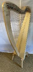 Salvi M2 34 String Maple Bio Carbon Strings - Full Package