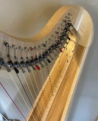 Ogden 34 Natural Maple - LH4122C - Ex Rental 2020