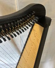 Ravenna 26 Black Finish Full Package - Ex Rental 2025
