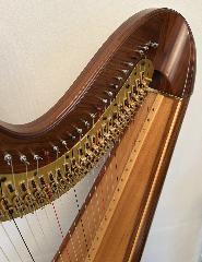 Aoyama Vega Pedal Harp in Walnut - Rental Initial Payment