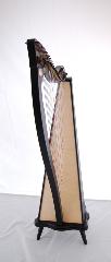 Dusty Strings Ravenna 34 Harp Rental - Initial Payment