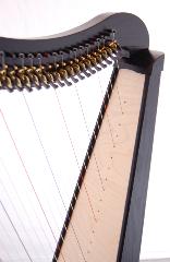 Dusty Strings Ravenna 26 Harp Rental - Initial Payment