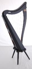 Dusty Strings Ravenna 26 Harp Rental - Initial Payment