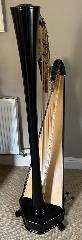 Etude 42 Pedal Harp - 2012 - 2nd Hand