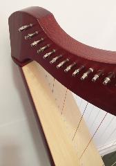 Salvi Mia 34 Mahogany Bio Carbon Strings L47751