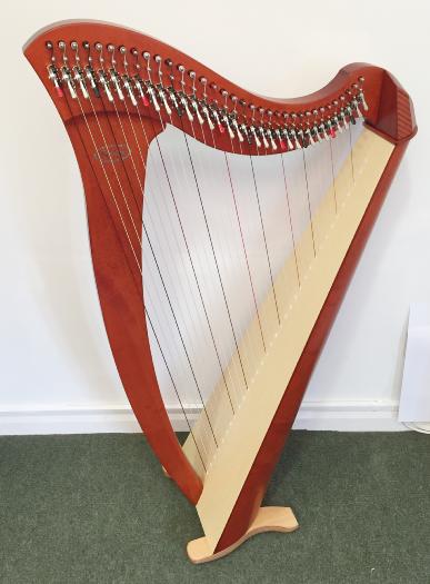 Salvi Mia 34 Cherry Bio Carbon Strings (L47243)