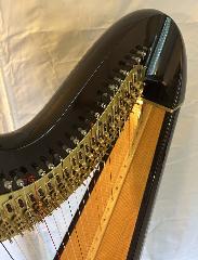Etude 42 Pedal Harp - 2000 - 2nd Hand