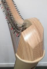 Salvi Mia 34 Maple Bio Carbon Strings L49989