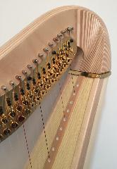 Salvi Daphne 47 EX Pedal Harp