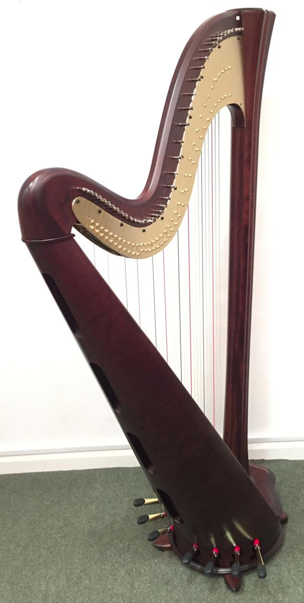 Salvi Daphne 40 Pedal Harp Walnut in Stock
