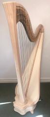 Salvi Daphne 47 SE Pedal Harp: Maple - in Stock