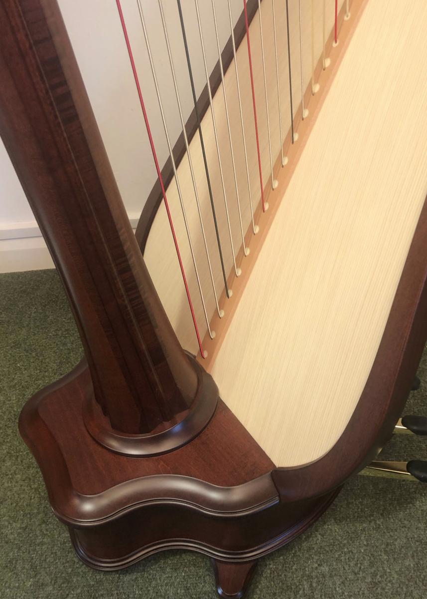 Salvi Daphne 47 SE Pedal Harp Walnut in Stock