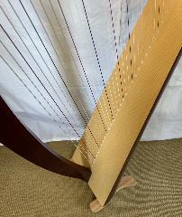 Salvi Titan 38 Lever Harp Mahogany  (L45535)  - Ex Rental 2022