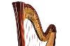 Salvi Daphne 47 SE Pedal Harp