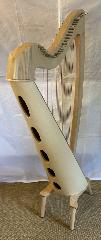 Salvi M2 34 String Maple Bio Carbon Strings - Full Package