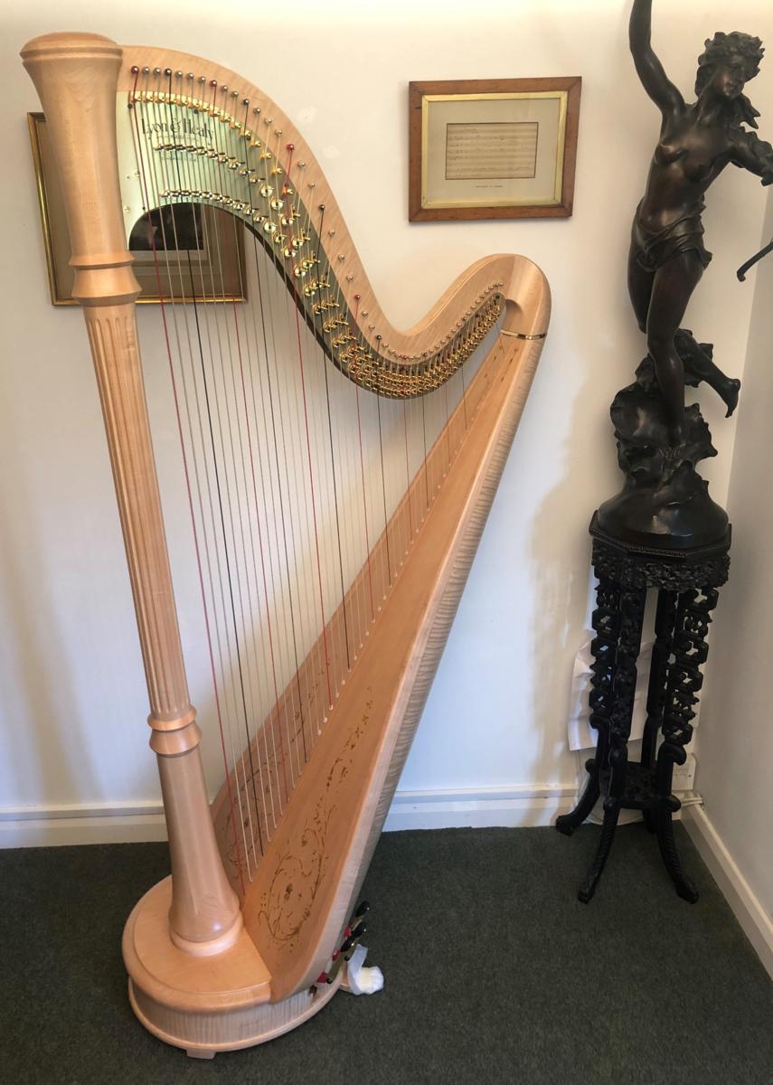 Bendecir Minimizar De trato fácil Style 85CG Lyon & Healy Pedal Harp in Natural - LH22679 - In Stock