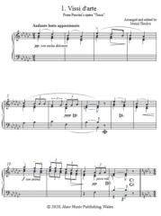 Famous Music for The Harp Vol. 9: Another Visit to the Opera - Meinir Heulyn