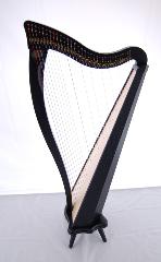 Dusty Strings Ravenna 34 Harp Rental - Initial Payment