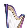 Salvi Rainbow 47 SG Electro Acoustic Pedal Harp