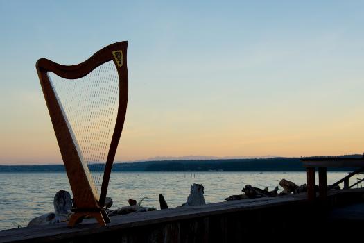 Dusty Strings lever harp