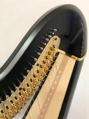 Salvi Daphne 47 SE Pedal Harp