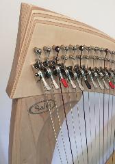 Salvi Una 38 Harp Rental - Initial Payment