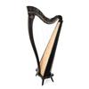 Dusty Strings Boulevard 34 Lever Harp Ex Rental - In Stock