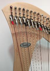 Salvi Mia 34 Maple Bio Carbon Strings L49989