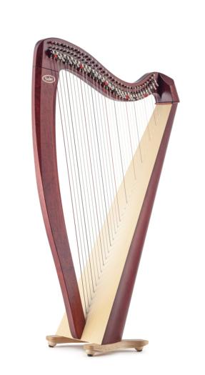 Salvi M2 Harp