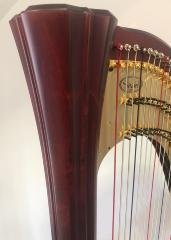 Salvi Daphne 47 SE Pedal Harp: P22699 - Mahogany - in Stock