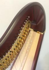 Salvi Daphne 47 SE Pedal Harp: Pxxx - Mahogany