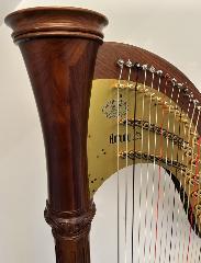 Aoyama Vega Pedal Harp in Walnut - Rental Initial Payment