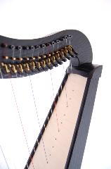 Dusty Strings Ravenna 34 Harp Rental - Initial Payment