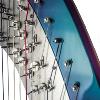 Salvi Rainbow 47 CG Electro Acoustic Pedal Harp