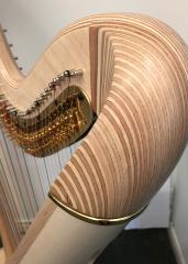 Salvi Daphne 47 EX Pedal Harp: Maple - in Stock