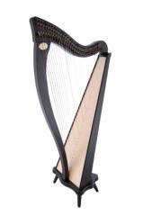 Dusty Strings Ravenna 34 Harp Rental - Initial Payment