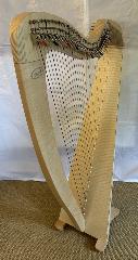 Salvi M2 34 String Maple Bio Carbon Strings - Full Package