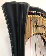 Salvi Daphne 47 SE Pedal Harp