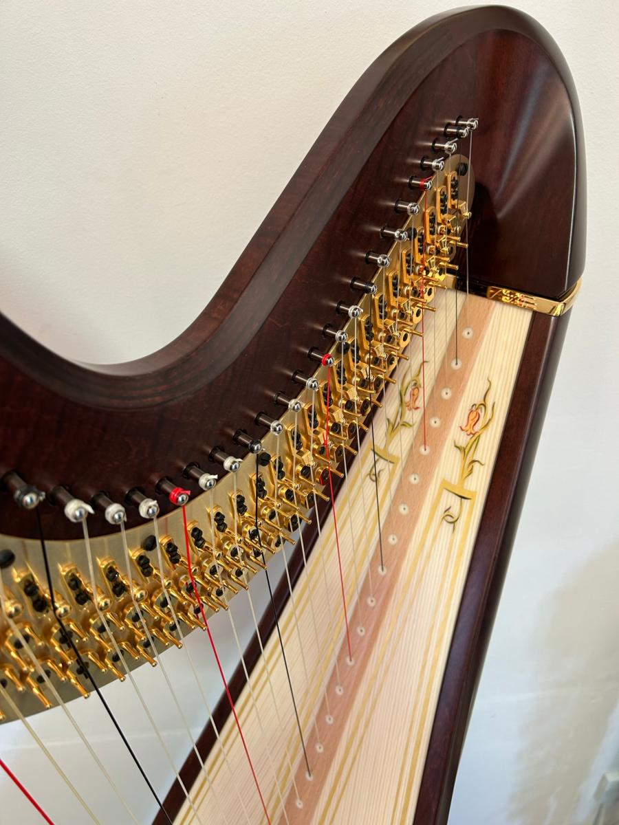 Salvi Aurora 47 Pedal Harp Walnut Decorated in Stock P23374