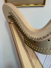 Salvi Daphne 47 SE Pedal Harp: Maple - In Stock - P23870