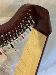 Salvi M2 34 String Mahogany Bio Carbon Strings - Full Package