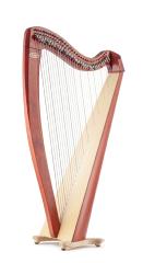 Salvi M2 Harp